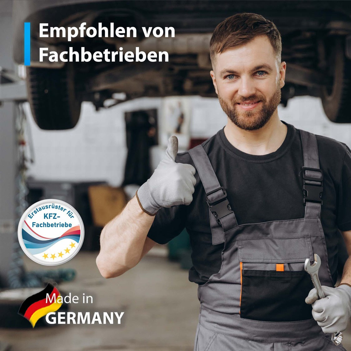 Einsteigsleistenschutz Tür für Dacia Logan 2 (MCV) 2013-2020 (5-Türer Kombi)